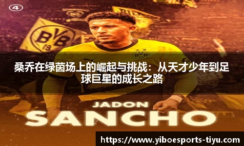 亿博电竞官网